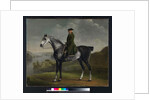 Joseph Smyth Esquire, Lieutenant of Whittlebury Forest, Northamptonshire, on a Dapple Grey Horse, c.1762-64 by George Stubbs
