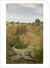 94 Degrees in the Shade, 1876 by Lawrence Alma-Tadema