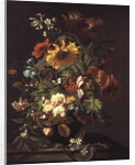 Vase of Flowers by Simon Peeterz Verelst