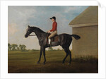 Gimcrack, with John Pratt up, on Newmarket Heath, 1795 by George Stubbs