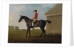 Gimcrack, with John Pratt up, on Newmarket Heath, 1795 by George Stubbs