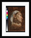 Head of an old woman, c.1590 by Annibale Carracci