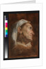 Head of an old woman, c.1590 by Annibale Carracci