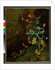 A still life with flowers, butterflies and a lizard in a dell, before 1750 by Rachel Ruysch