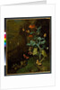A still life with flowers, butterflies and a lizard in a dell, before 1750 by Rachel Ruysch