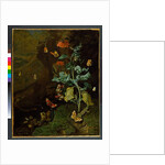 A still life with flowers, butterflies and a lizard in a dell, before 1750 by Rachel Ruysch