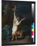 A dead hare, before 1782 by Pieter Snyers