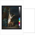 A dead hare, before 1782 by Pieter Snyers