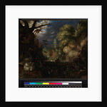 The Creation of Birds, 1619 by Roelandt Jacobsz. Savery