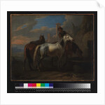 Horses drinking at a fountain, before 1720 by Pieter van Bloemen