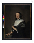 Portrait of a woman, 1660 by Jan de Bray
