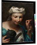 Girl with a Cat, before 1747 by Giuseppe Maria (1665-1747) Crespi