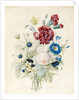 A Spray of Flowers including a Rose, a Blue Convolvulus and Pansies, 1830 by Caroline Adrien