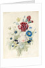 A Spray of Flowers including a Rose, a Blue Convolvulus and Pansies, 1830 by Caroline Adrien