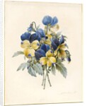 Sprig of Pansies by Madame Benoit