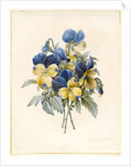 Sprig of Pansies by Madame Benoit