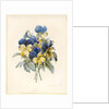 Sprig of Pansies by Madame Benoit