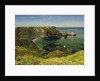 Anstey's Cove, Devon, 1854 by John William Inchbold