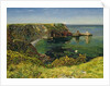 Anstey's Cove, Devon, 1854 by John William Inchbold