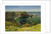 Anstey's Cove, Devon, 1854 by John William Inchbold