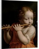 Child Angel Playing a Flute, c.1500 by Bernardino Luini
