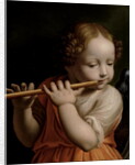 Child Angel Playing a Flute, c.1500 by Bernardino Luini