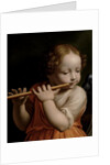Child Angel Playing a Flute, c.1500 by Bernardino Luini