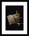 Bunch of Asparagus, 1703 by Adrian Coorte