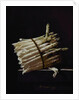 Bunch of Asparagus, 1703 by Adrian Coorte