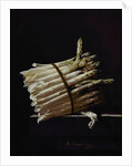 Bunch of Asparagus, 1703 by Adrian Coorte