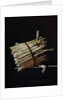 Bunch of Asparagus, 1703 by Adrian Coorte