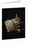 Bunch of Asparagus, 1703 by Adrian Coorte