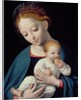 Virgin and Child by Cornelis van Cleve