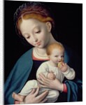 Virgin and Child by Cornelis van Cleve