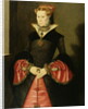 Unknown Lady from the court of King Edward VI c.1550-55 by Hans Eworth or Ewoutsz