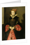 Unknown Lady from the court of King Edward VI c.1550-55 by Hans Eworth or Ewoutsz