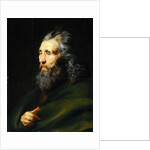 Head Study of a Bearded Man, c.1617 by Peter Paul Rubens