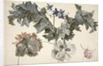 Double-flowered opium poppies, poppy leaves, delphinium and a rosebud by Eelke-Jelles Eelkema