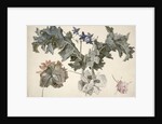 Double-flowered opium poppies, poppy leaves, delphinium and a rosebud by Eelke-Jelles Eelkema