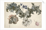 Double-flowered opium poppies, poppy leaves, delphinium and a rosebud by Eelke-Jelles Eelkema