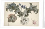 Double-flowered opium poppies, poppy leaves, delphinium and a rosebud by Eelke-Jelles Eelkema