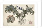 Double-flowered opium poppies, poppy leaves, delphinium and a rosebud by Eelke-Jelles Eelkema