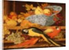 Still Life with Fruit and Macaws, 1622 by Balthasar van der Ast