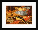 Still Life with Fruit and Macaws, 1622 by Balthasar van der Ast
