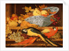 Still Life with Fruit and Macaws, 1622 by Balthasar van der Ast
