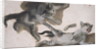 Sketches of a Kitten by Alexandre-Francois Desportes