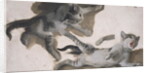 Sketches of a Kitten by Alexandre-Francois Desportes