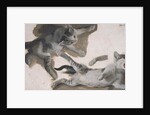Sketches of a Kitten by Alexandre-Francois Desportes