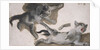Sketches of a Kitten by Alexandre-Francois Desportes