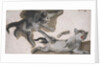 Sketches of a Kitten by Alexandre-Francois Desportes